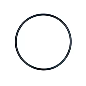   Electrolux - AEG mosogatógép tömítőgyűrű (zagy, szűrő tálca) 1119186003